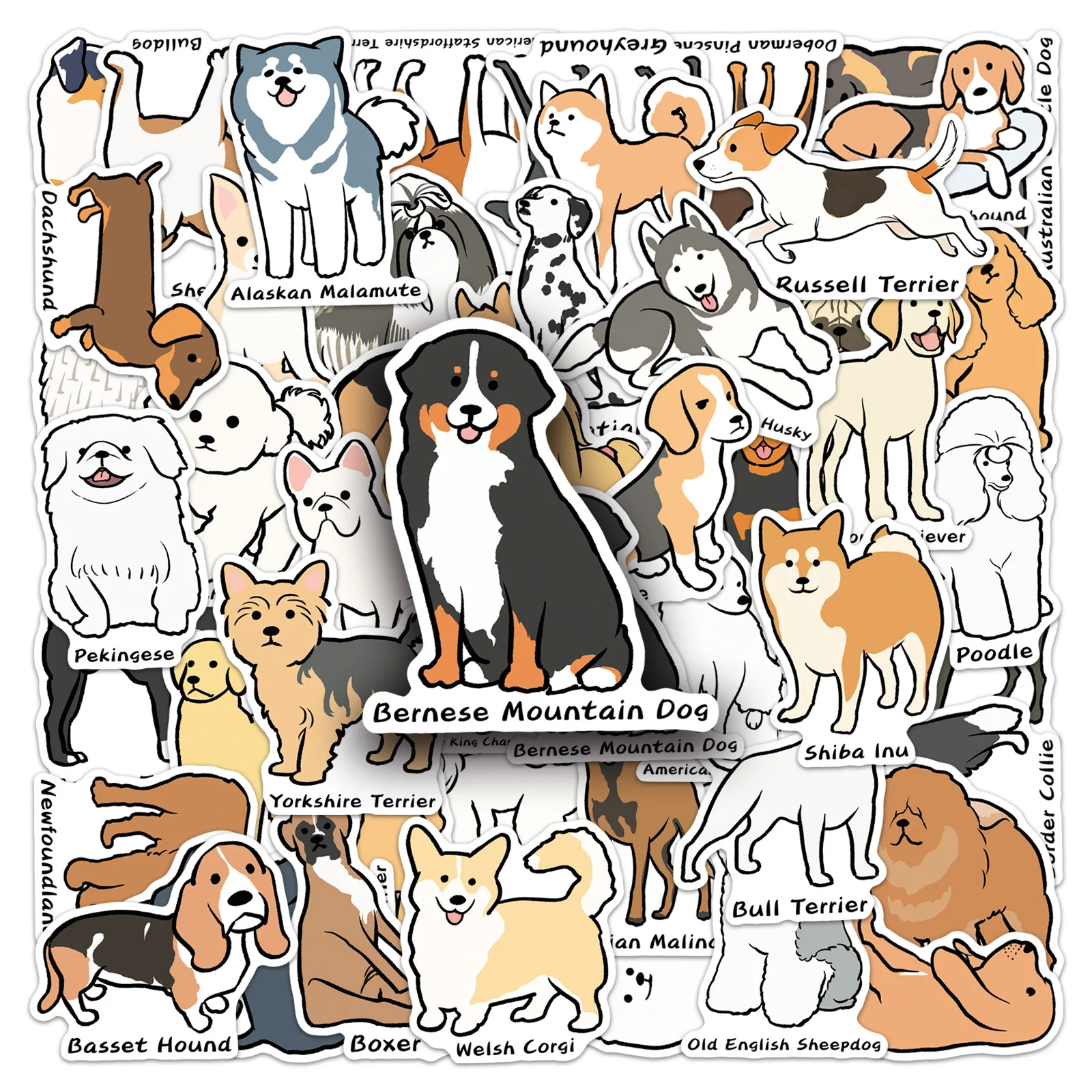 50 Pcs Original Puppy Breed Guide Stickers Cartoon Cute Pet English Names Waterproof For Phone Case Scrapbooking