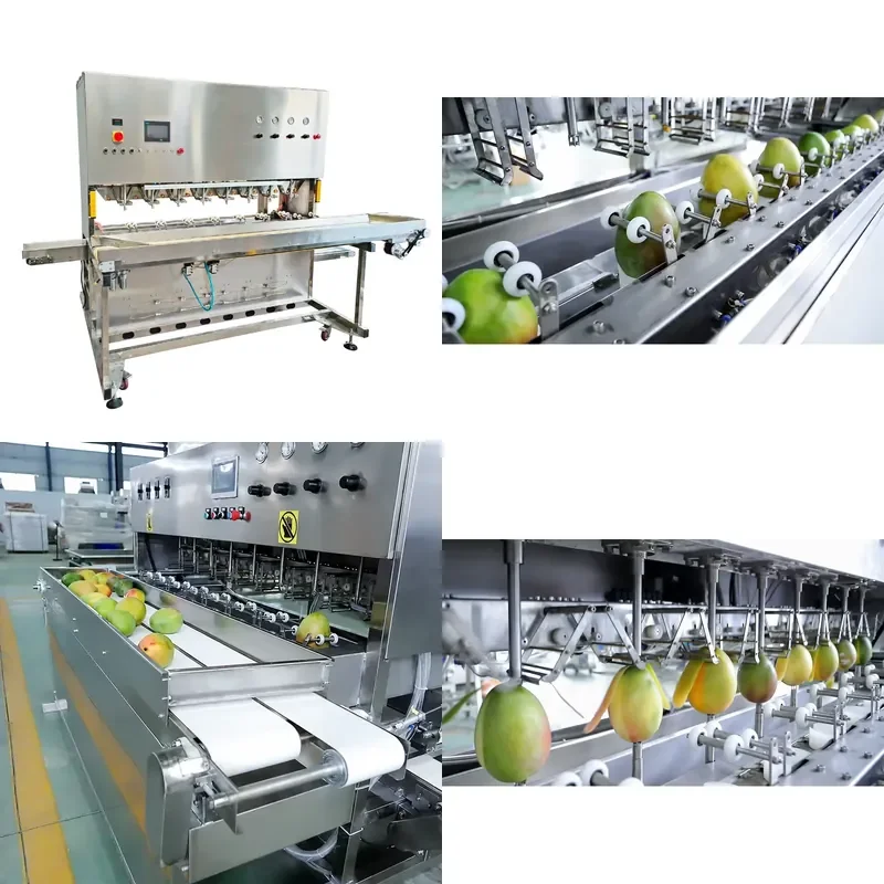 Energy Saving Automatic Peeling Machine for Mango Multi Functional Fruit and Vegetable Peeler