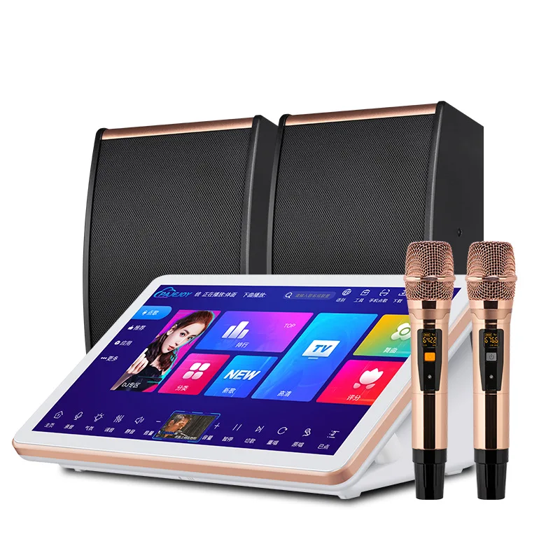 18.5inch Touch Screen Home Amplifier Wireless Microphone Set Karaoke pa Speaker System