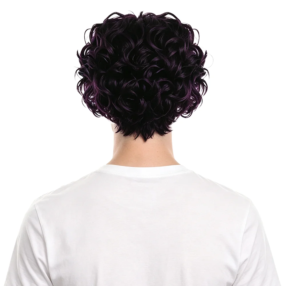 Anime Agott Cosplay Wig Black Purple Fluffy Short Curly Wig Unisex Heat Resistant Synthetic Hair for Halloween Party Party Use