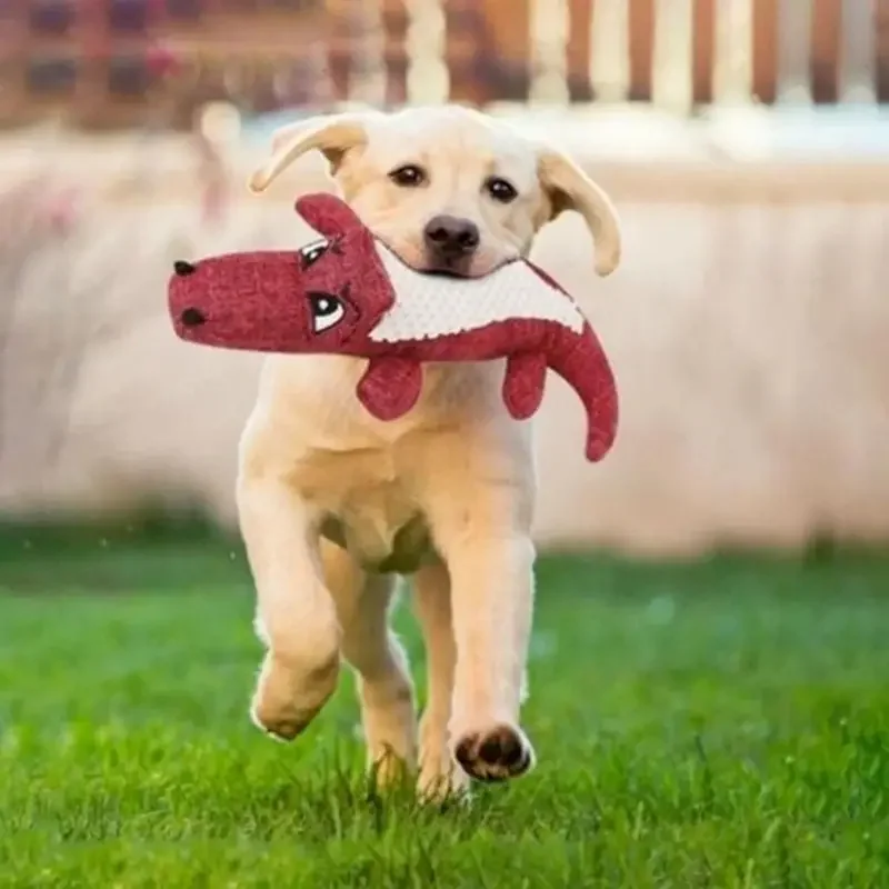 

Durable Crocodile-Shaped Interactive Plush Toy for Dogs - Satisfies Natural Chewing Instinct, Provides Mental Stimulation