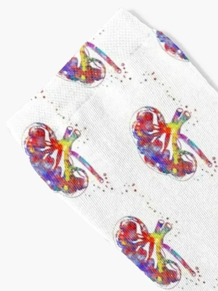 Kidney section, human anatomy, urology, kidney Socks Non-slip gym shoes Socks Girl Men's