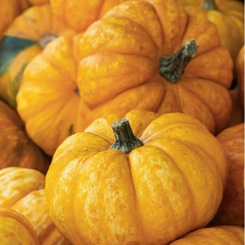 

T-HOBBY T-MOTOR F7 HD Stack F7 722 HD Flight Controller W/BMI270+F55A ProII 3-6S 4in1 Blheli_32 Brushless ESC for RC FPV Racing