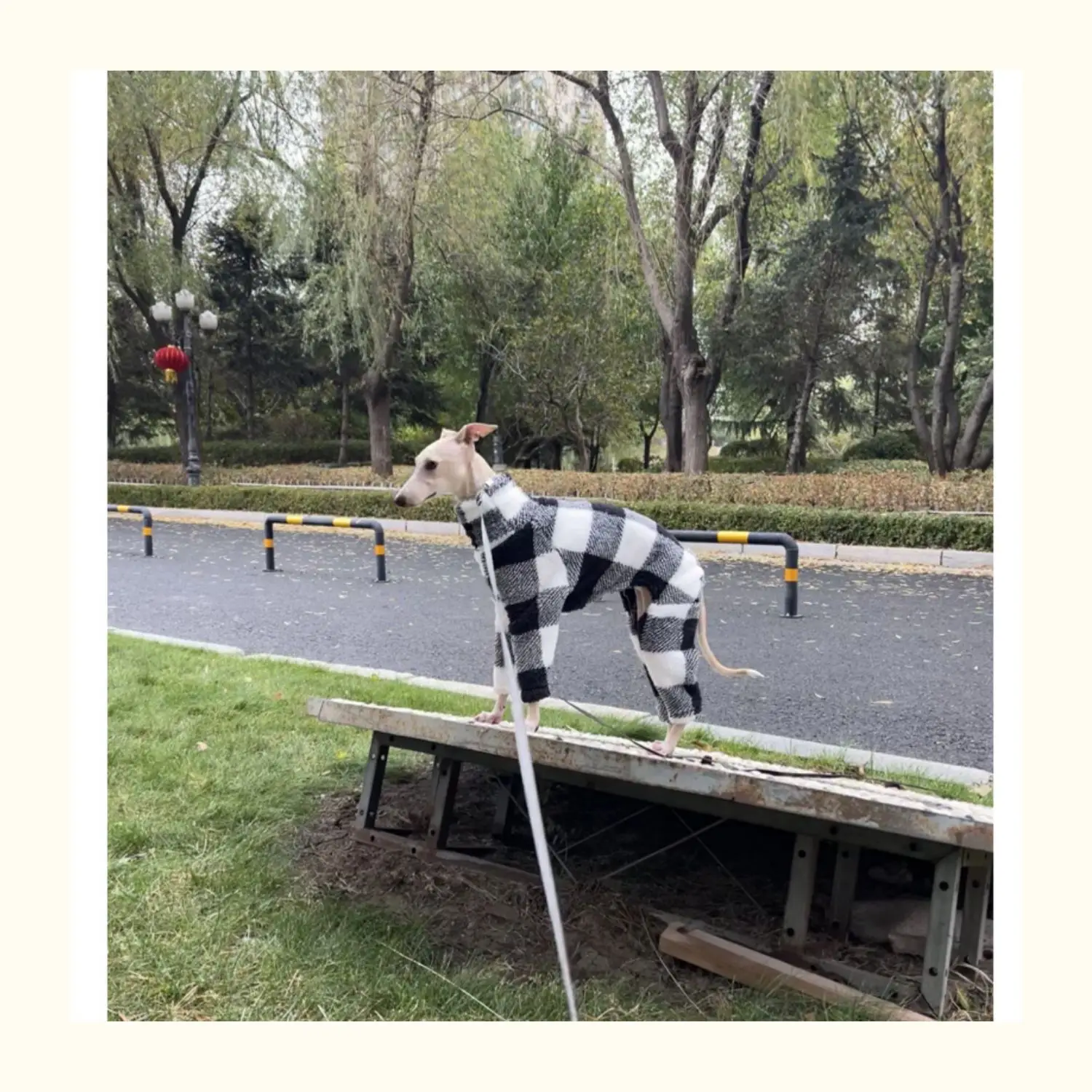 

Plaid Double-sided Velvet Puppy Clothes Warm Soft Small Medium Dog Clothes Suitable for Greyhounds/whippets in Winter