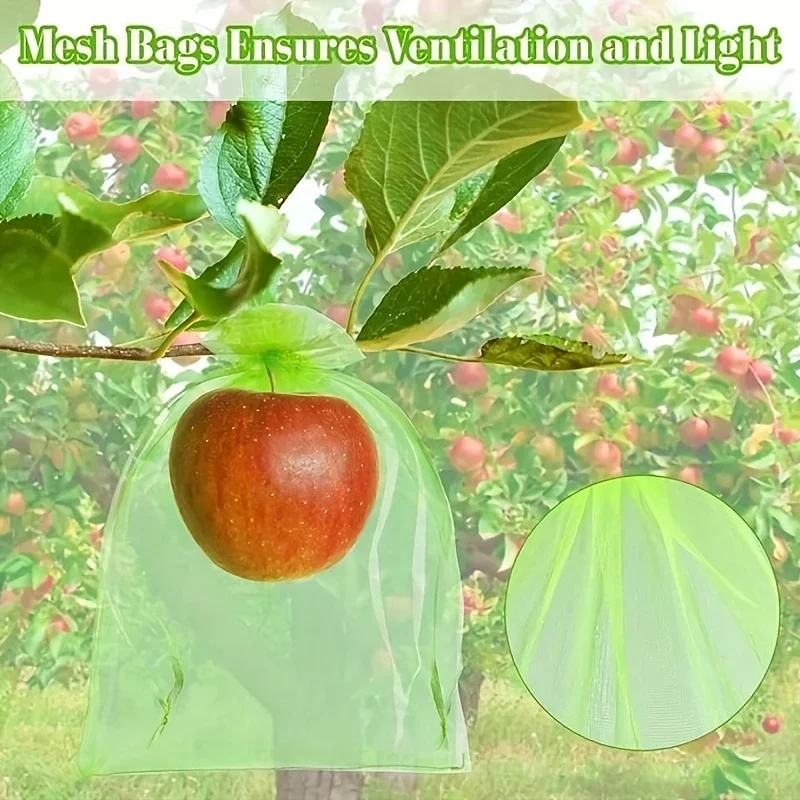 100Pcs Green Protective Bag with Zipper,fruit Trees, Transparent Mesh Barrier for Plants, Perfect for Gardening and Pest Control view 4