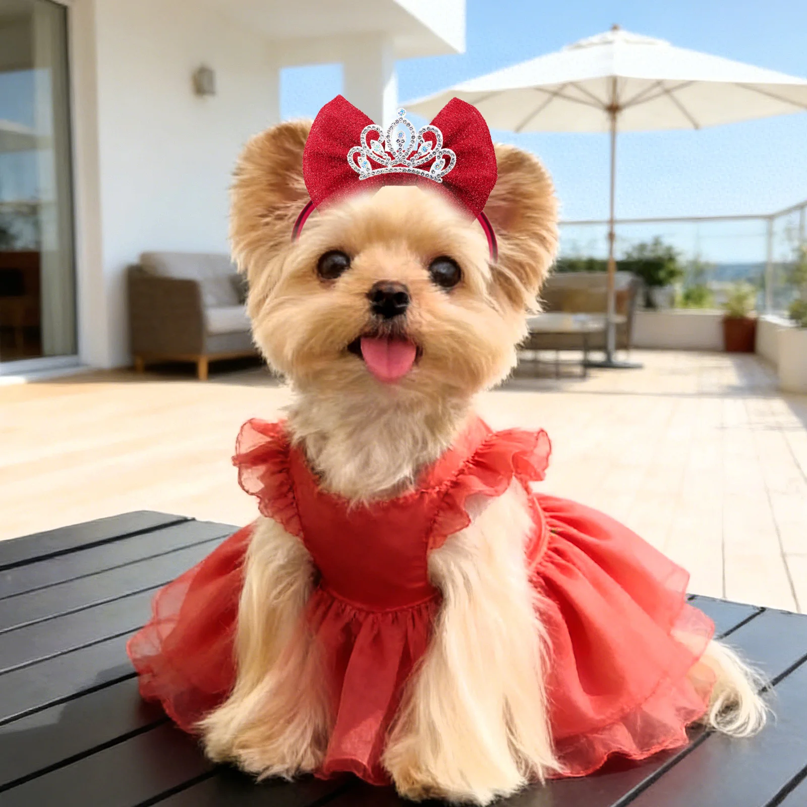 1 adet elmaslı köpek fiyonklar - Luxury Lifestyle Photography incelemesi ve fiyatı