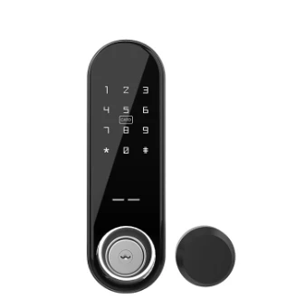 Japanese Minimalist Style Password ID Card APP Remote Control Smart Lock