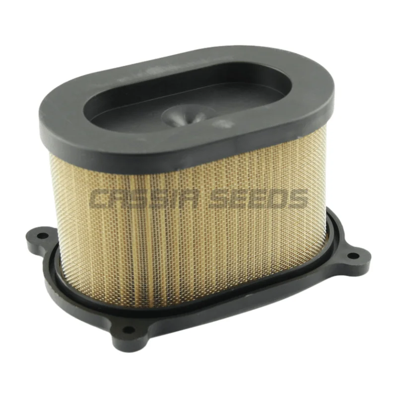 Motorcycle air intake filter suitable for Suzuki Suzuki SV650 1999 2000 2001 2002