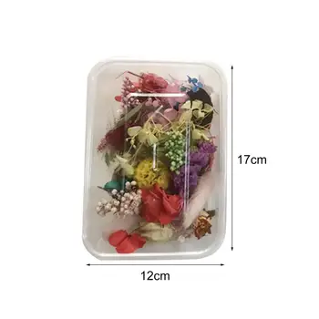 창의적인 말린 꽃 무취 섬세한 무작위 색상 자연 압착 꽃, 사용하기 쉬운 건조 꽃 