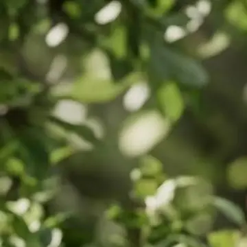 Wired For Smart Rainfall Sensor Automatic Irrigation Timer Water Conservation Device For Home Garden Networked System Controller