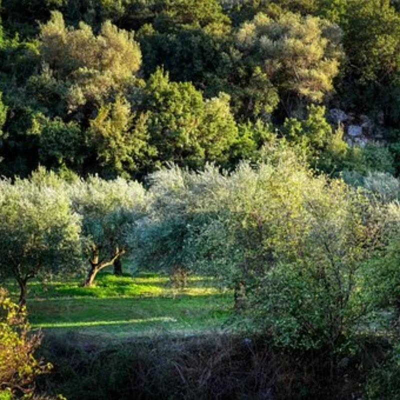 Metalowe ulepszenia, wahacz, zwrotnica, zestaw części podatnych na uszkodzenia, do modelu MN 1/16 MN38, części do samochodów RC