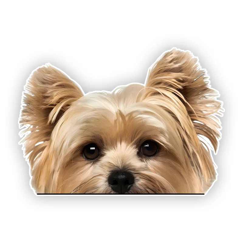 DK156#17x12cm Peeking Golden Yorkshire Terrier Car Sticker Waterproof Vinyl Decal For Truck Motorcycle Scooter Auto Accessories