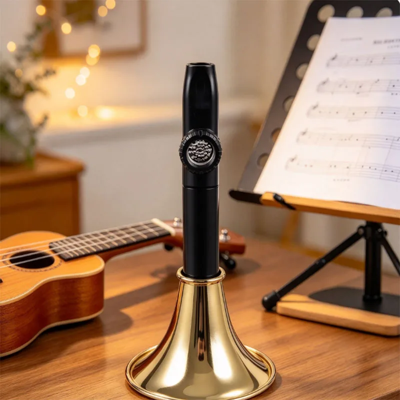 Kazoo Flute Metal Kazoos With Storage Box Party Favors For Birthdays Weddings Classroom Activities Instrument For Travel
