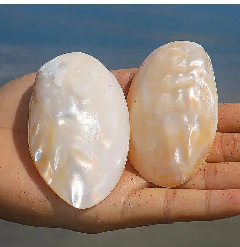 Polished Mother of Pearl Shells Natural White Jade Shell Beach Wedding Decoration for Home Aquarium DIY Jewelry Making Material