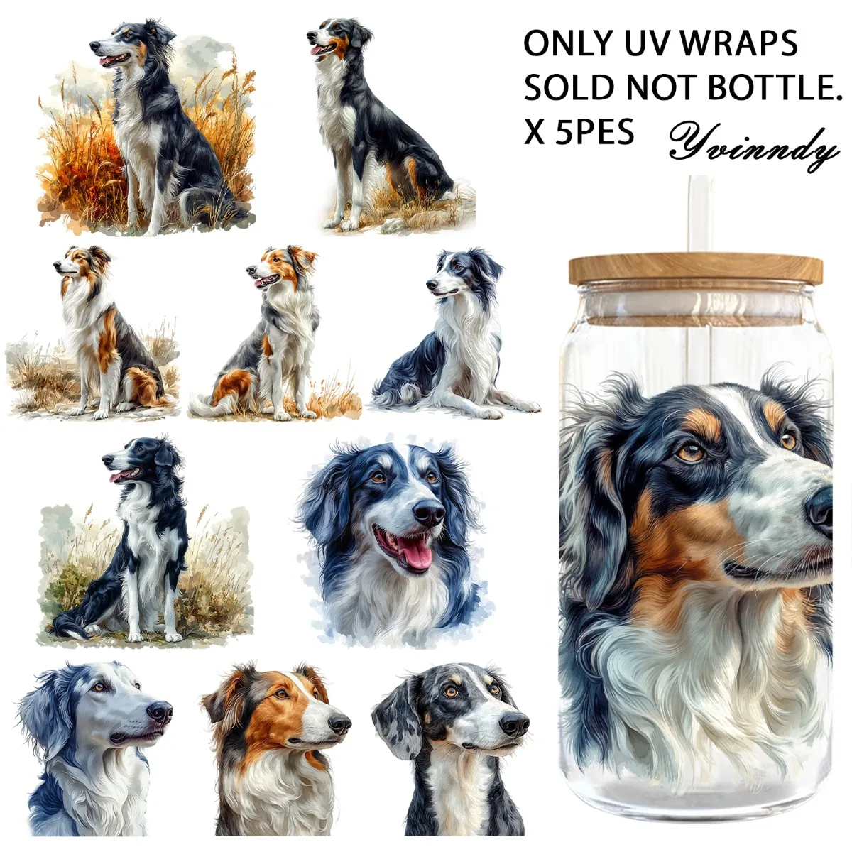 5Pcs/Set Of 16OZ Uv…