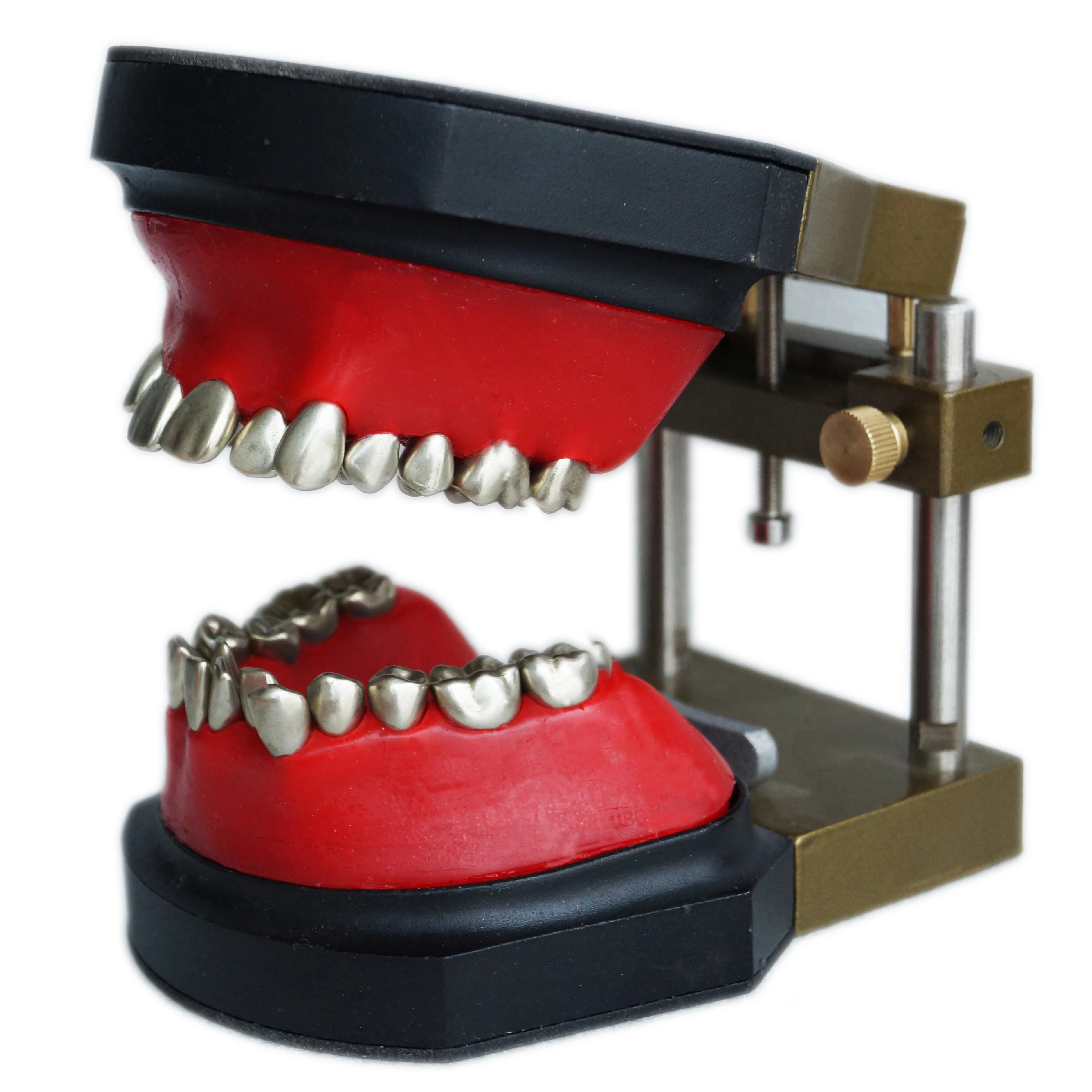 YTYIN نموذج تدريب محاكاة تقويم الأسنان مكون من نموذج أسنان مزخرف بالشمع وإطار فكي لتقويم الأسنان #1