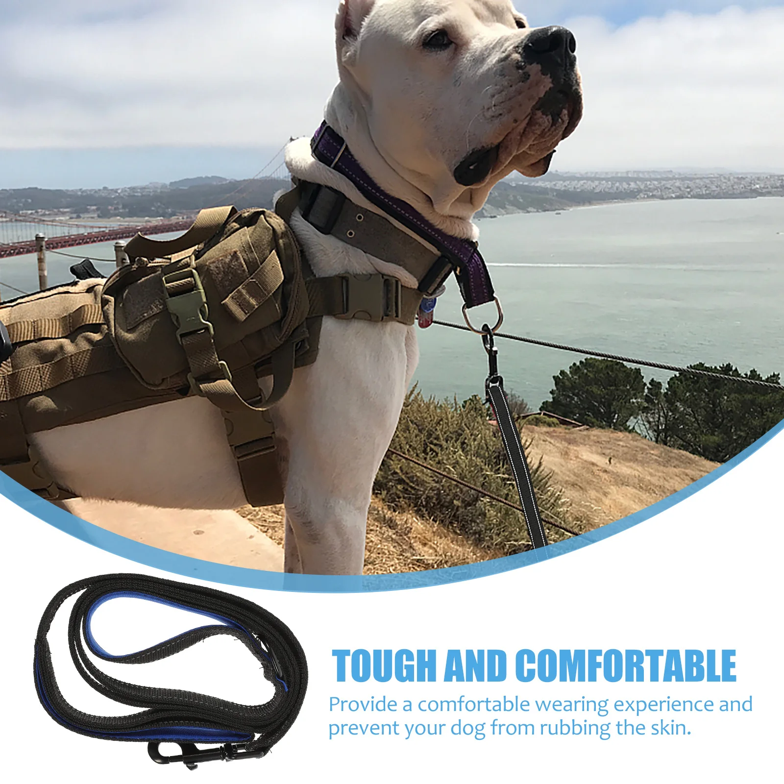 

Dog Leash Adjustable Metal Linker 360° Rotation For Small Medium Dogs Walking Hiking Jogging Walking Leash
