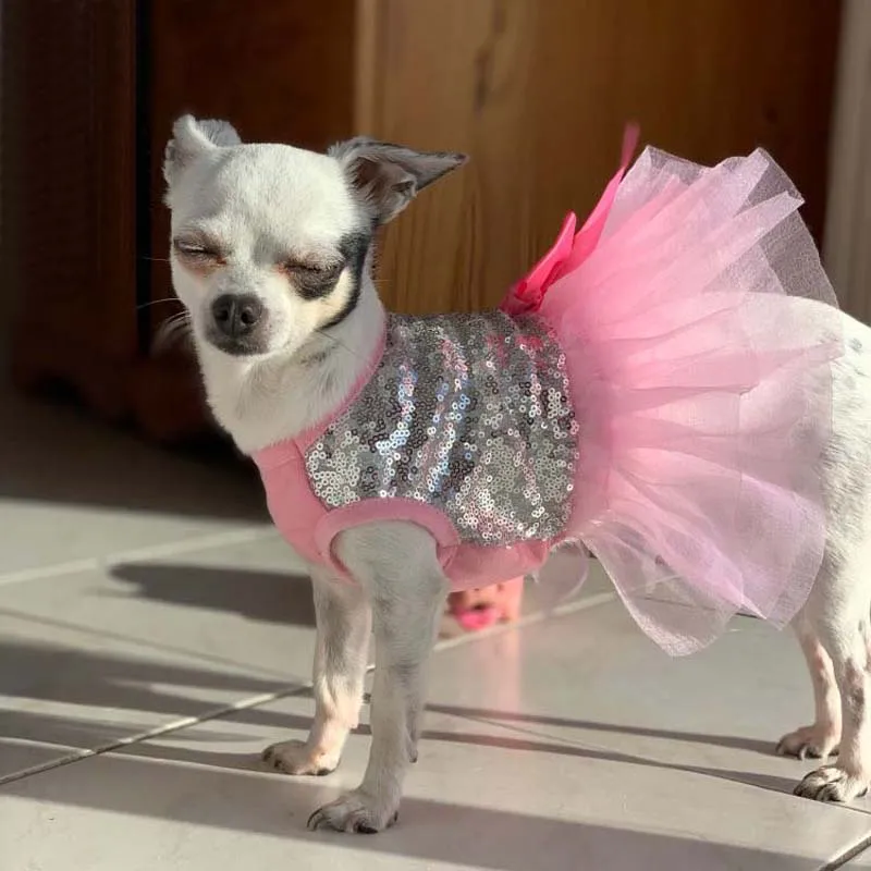 Princess Dog Dress Summer Bright Shirt Tutu Skirt Dog Clothes For Yorkie Chihuahua Shih Tzu Bowknot Wedding Party Puppy Costume