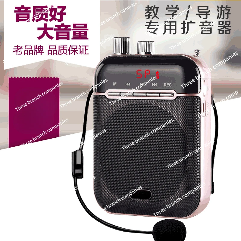 Small Bee Portable Wireless Loudspeaker Teacher Coach Guard High-Power Loudspeaker Microphone for Class