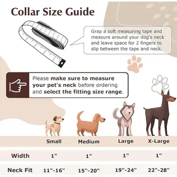 6 best sales ステンレス製の犬用首輪 - №5