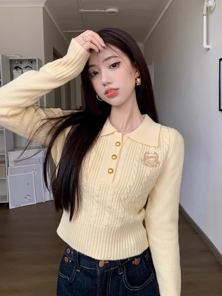 Women Pullovers Embroidery Korean Style Autumn Streetwear Slim Basic Keep Warm Knitwear Turn-down Collar Fashion Ulzzang Tender