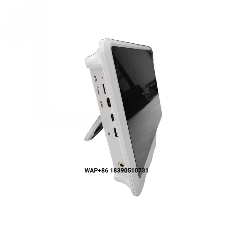 EUR Veterinary Portable Veterinary Endoscopy System Premium High-Resolution Video Processor Canine Veterinary Equipment