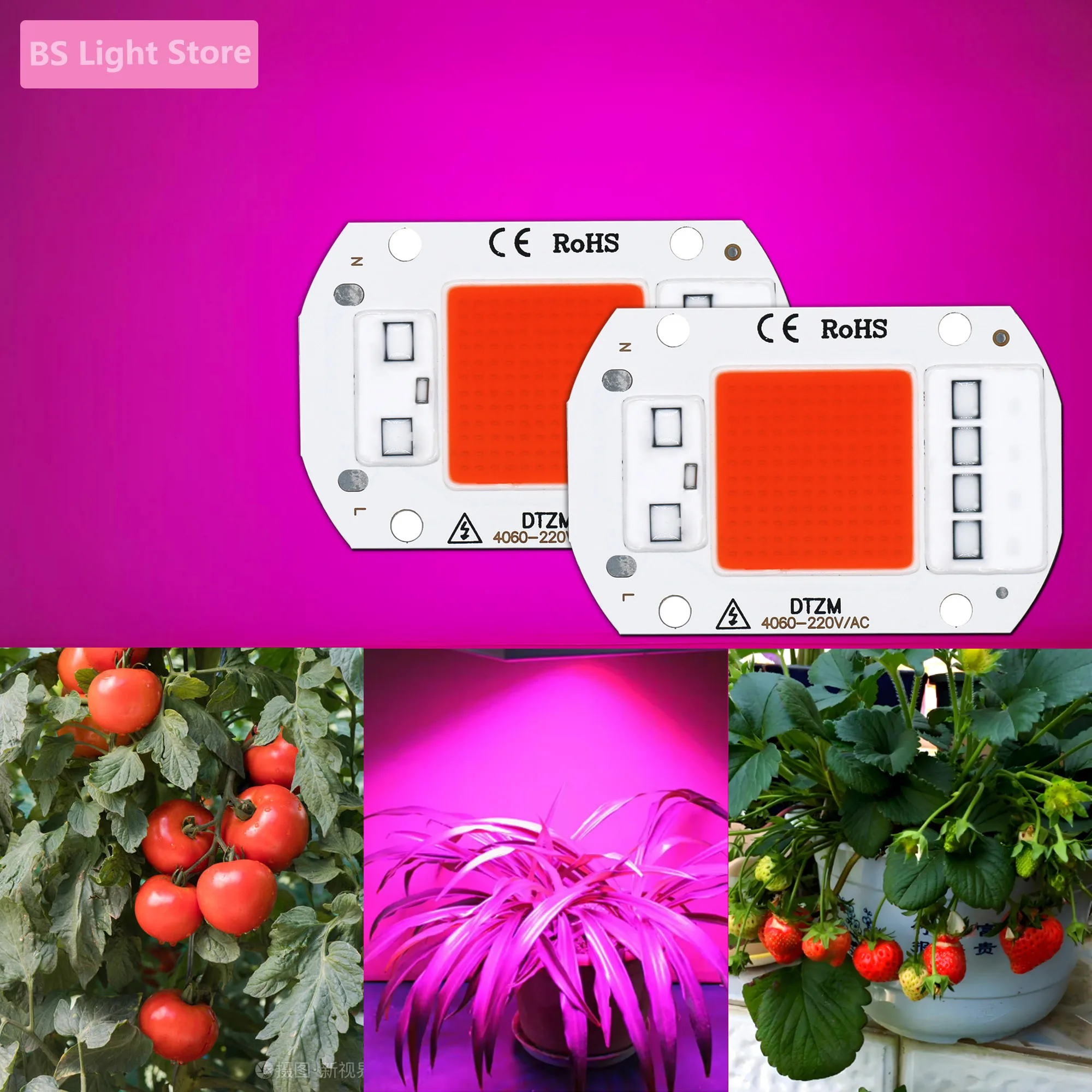 

AC220V 10W 20W 30W 50W LED Grow COB Chip Phyto Lamp Full Spectrum For Indoor Plant Seedling Grow and mini greenhouse for plants