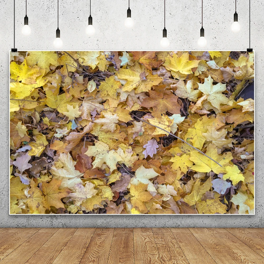 Autumn Maple Leaf Backdrop for Photography Natural Landscape Sunshine Birthday Kids Portrait Baby Shower Photo Background Banner