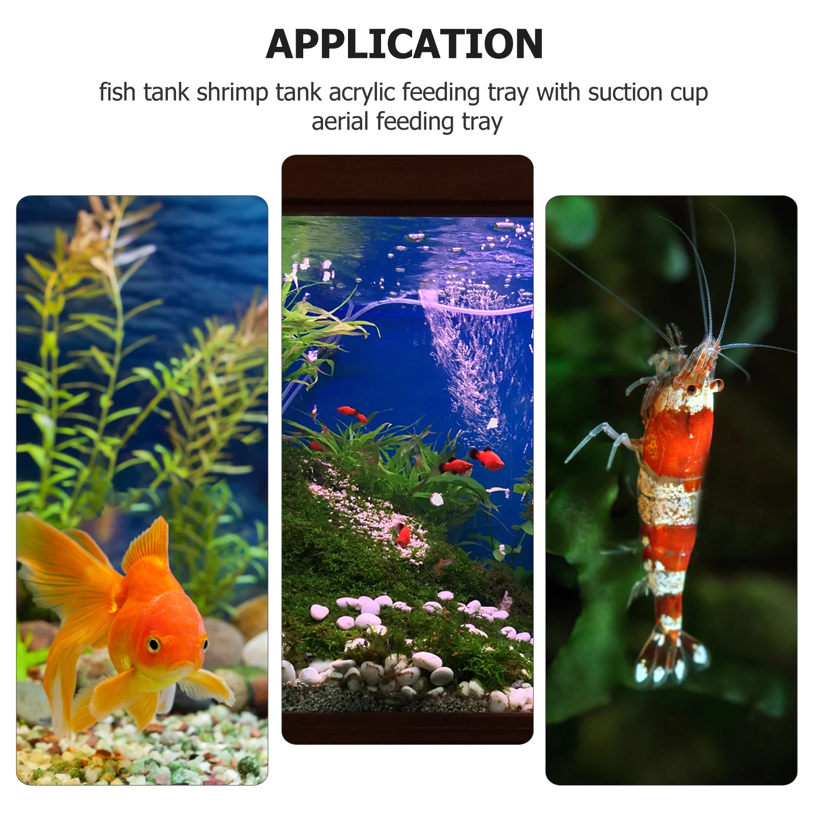 

Acrylic Fish Bowl Suction Cup Adjustable Height Aquarium Clear Fish Feeder Food Container Easy Clean Pet Supplies