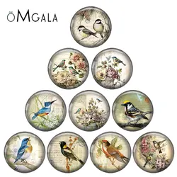Vintage Bird with Flowers Art Patterns 12mm/18mm/20mm/25mm Round Photo glass cabochon demo flat back Making findings