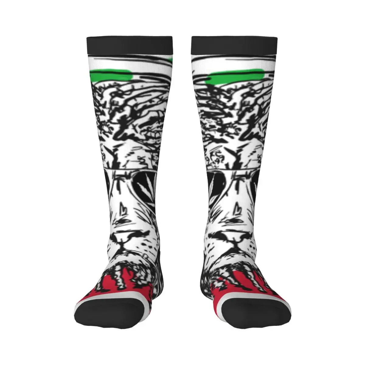 

Spring/autumn over the knee socks Rastafarian Subculture Lion school dance long stocking