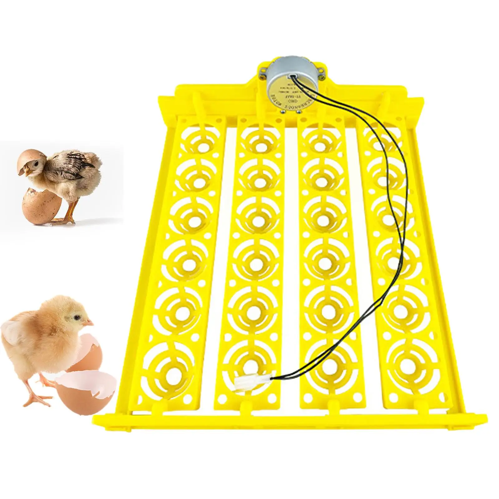 Egg Incubator Tray 24 Eggs Poultry Hatching Machine Automatic Egg Turner Tray for Birds Accessories Duck Turkey Eggs Home Goose