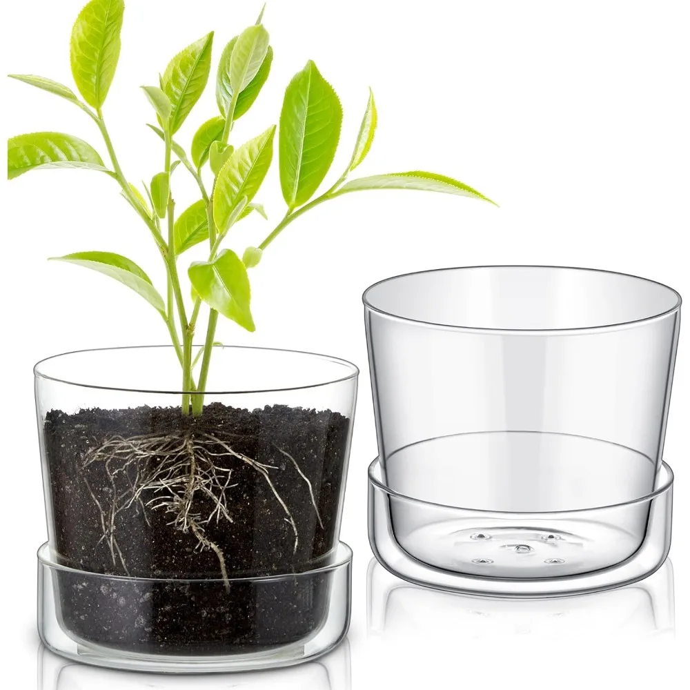 

2 Pcs 6 Inch Glass Planter with Drainage Hole and Tray Glass Pot Planter Clear Plant Pots with Saucer Modern Decorative