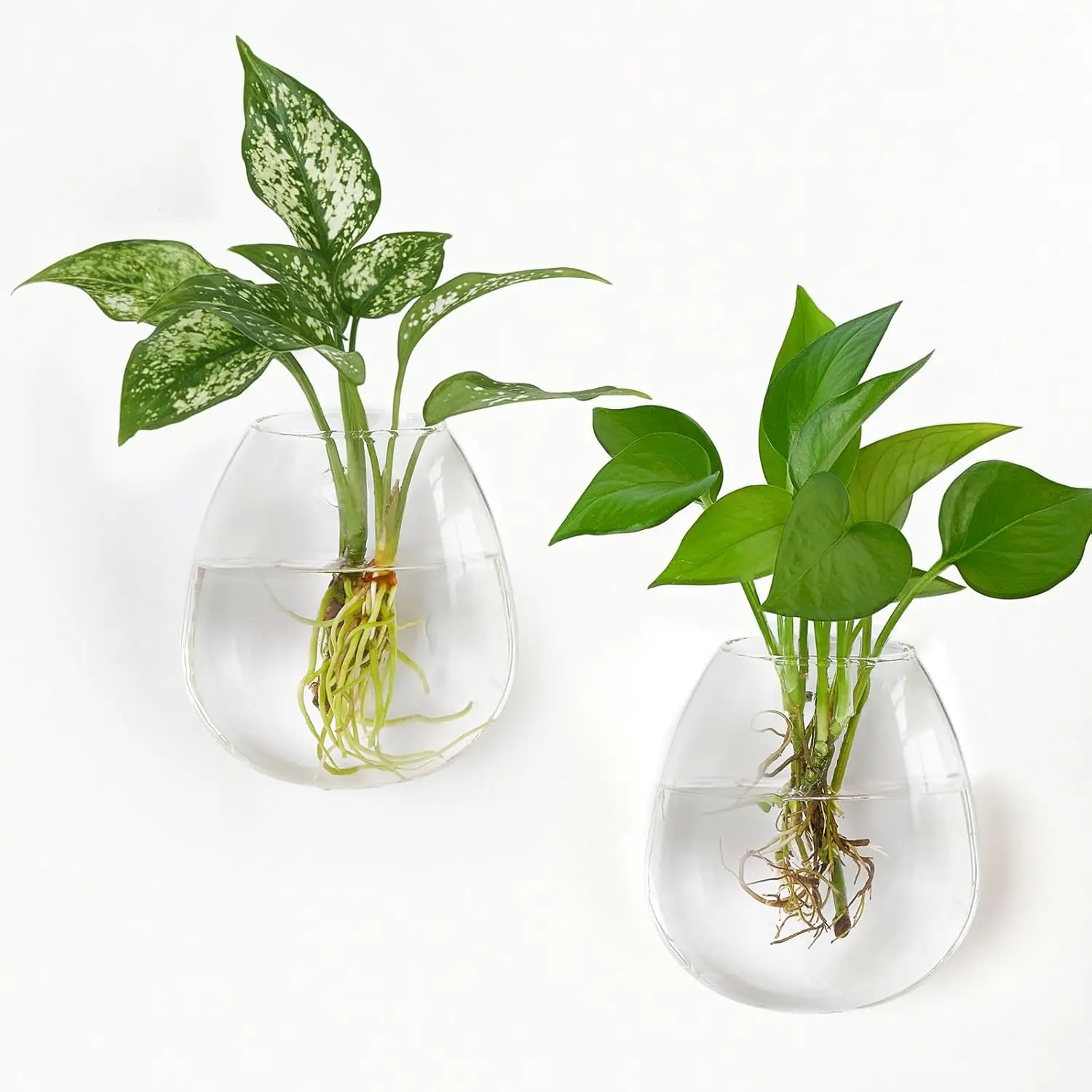 

Glass Wall Planters for Hydroponics - 2 Pack Oblate Terrarium, Wall Mounted Propagation Stations for Home Office Decor