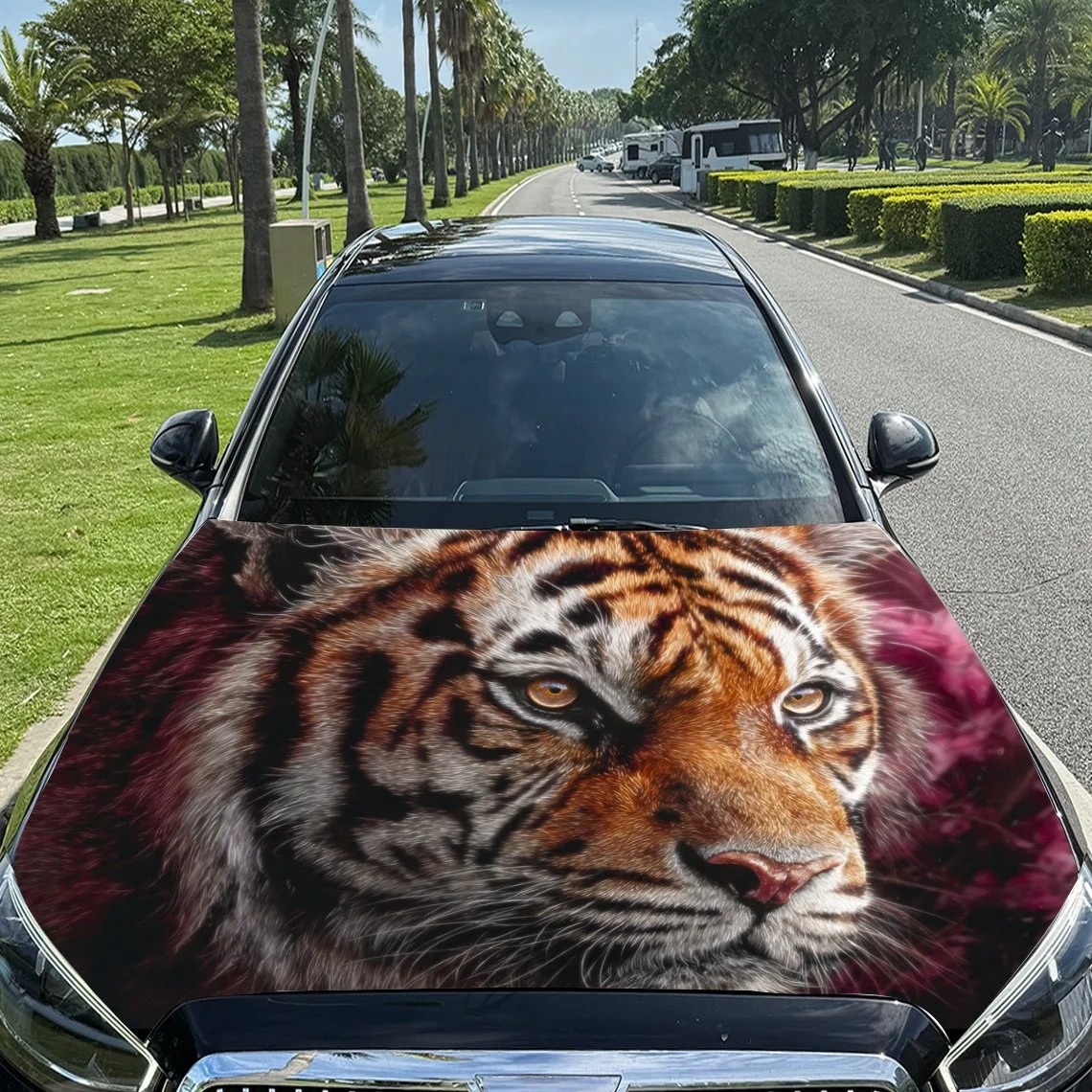 Vivid tiger face design on car hood, bold and striking. Perfect for animal lovers and unique style seekers. Enhance your vehicle
