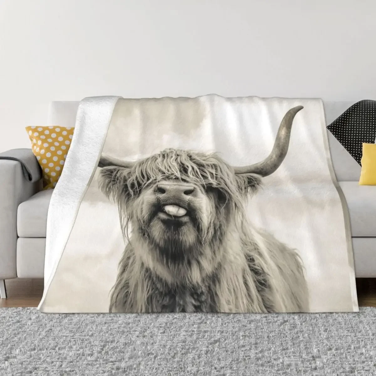 

Cheeky Highland Cow Throw Blanket For Baby Fluffy Softs Fashion Sofas Sofas Blankets