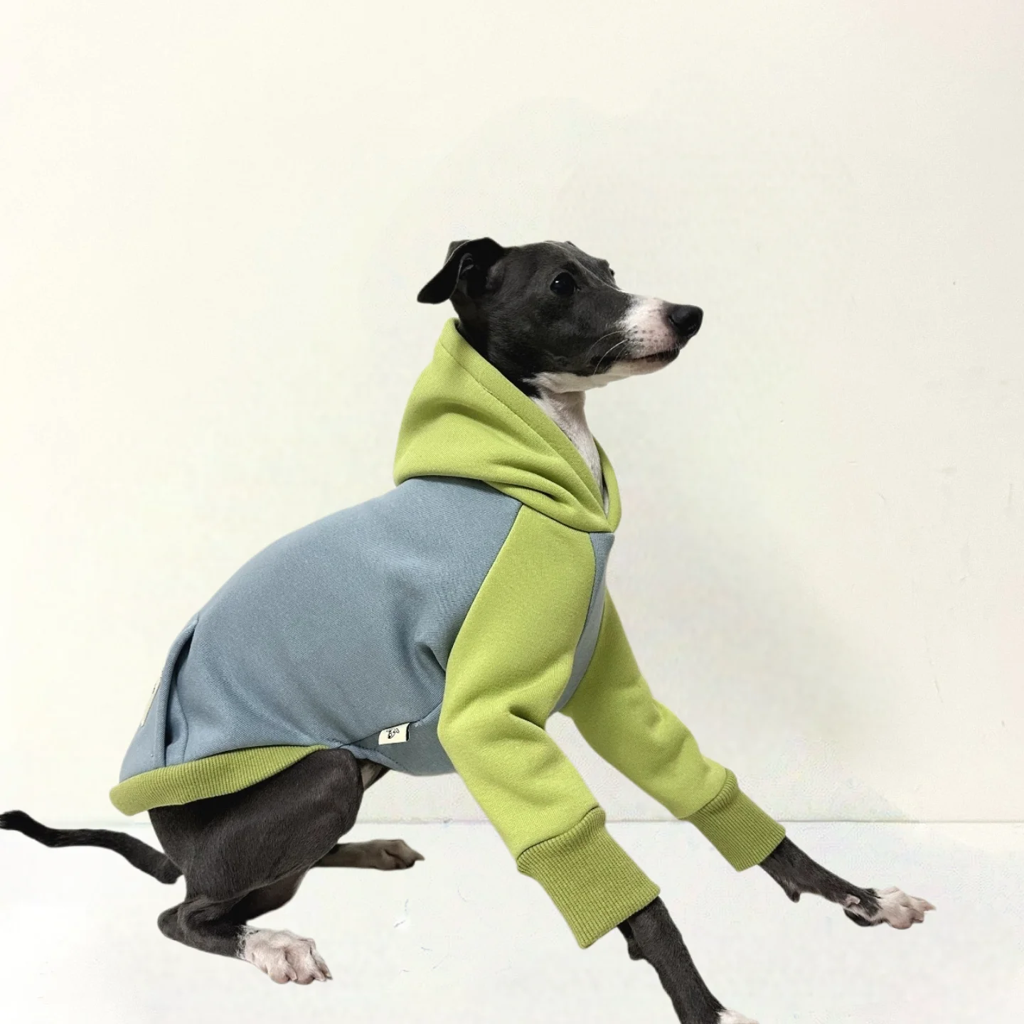 

Dog clothes Pet hoodie fall winter thick warm soft for Italian Greyhound Whippet Bedlington Costume for dog pet supplies dog coa