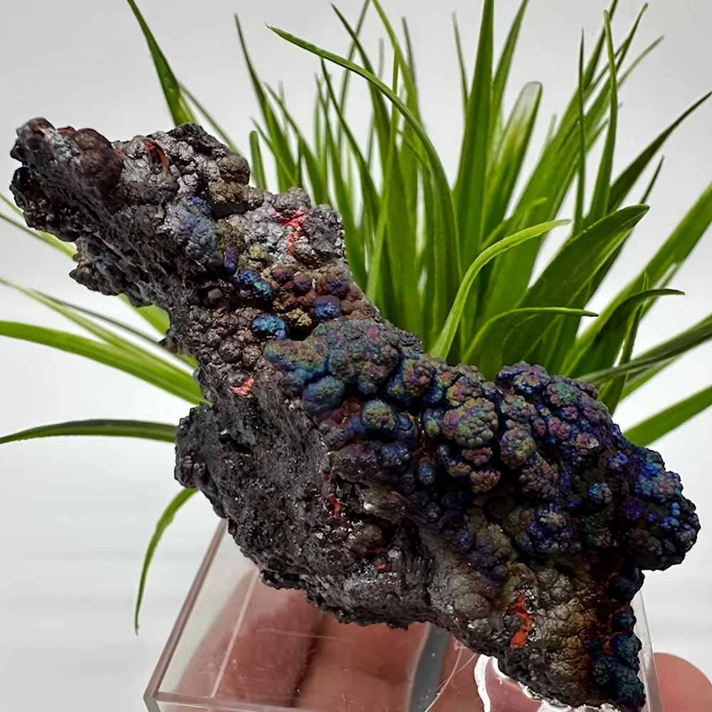 

1pc Iridescent Goethite Specimen, Rainbow Goethite Crystal Clusters, Ideal for Home Decor & Unique Gift for Holidays,
