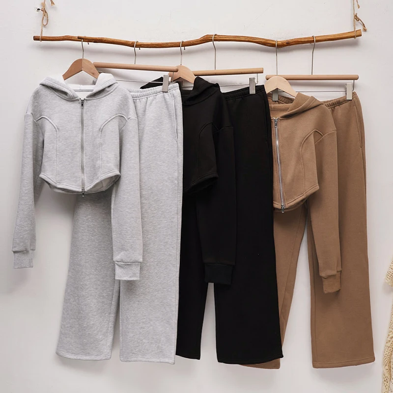

Winter Fleece Streetwear Women's Hoodie Two-Piece Set Long-Sleeve Zipper Hooded Sweatshirt Elastic Waist Trousers Sport Suit