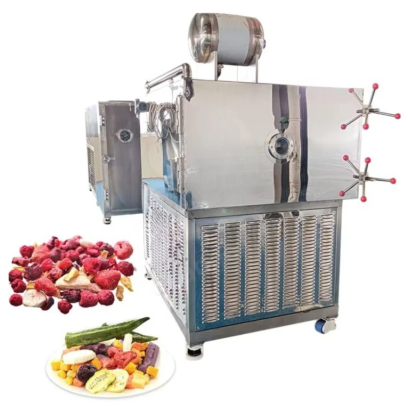 Competitive Price 1 Ton Freeze Dry Machine Beef Chicken Micro Greens Freeze Dryer Dalle for Banana CUSTOMIZED
