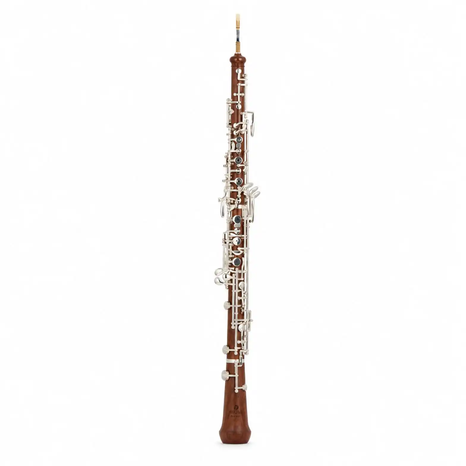 C Key 22 Keys Oboe Rosewood Body with Hard Case and Reed for Student Exam Performance