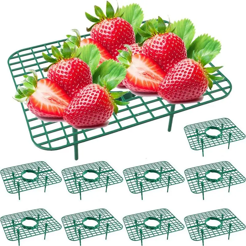 

10pcs Strawberry Supports Keeping Strawberry Plants Clean Growing Racks Strawberry Growing Frame fruit Planting Stand