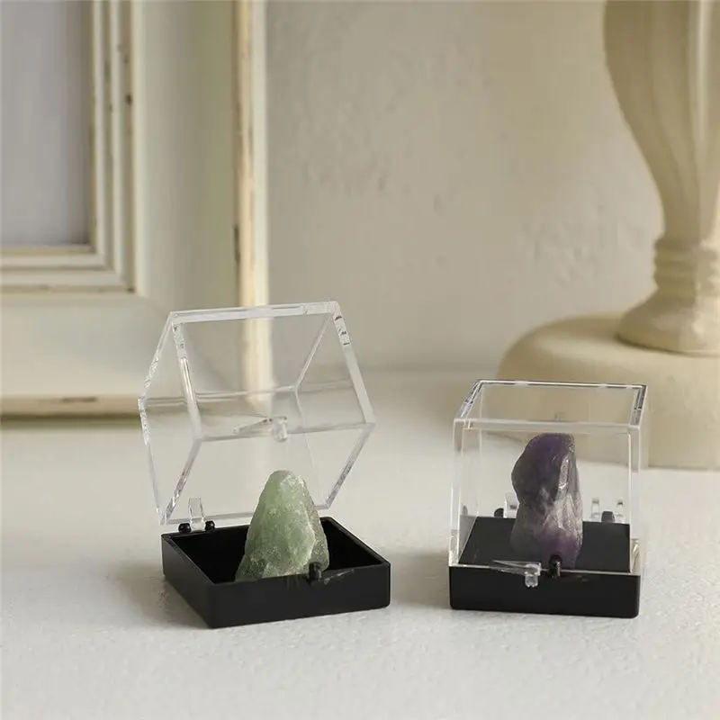Top Sale 6Pcs Transparent Plastic Rock Collection Display Case Sturdy Organizer For Gemstones Jewelry And Collectibles Storage