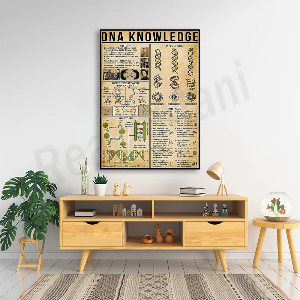 DNA knowledge poster, vintage biology science infographic poster print wall art picture, DNA art, biological scientist gift