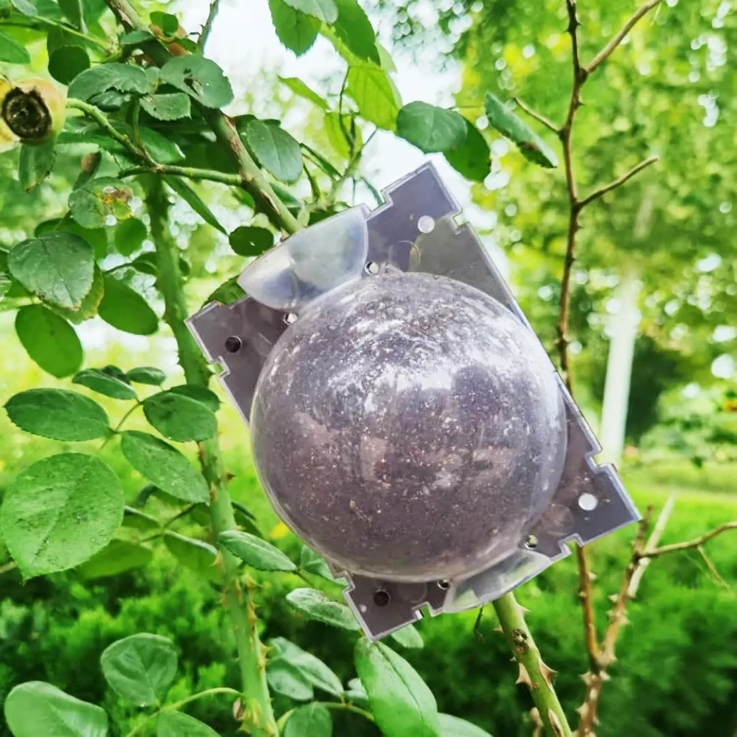 5/30Pcs Plant Rooting Ball High Pressure Propagation Root Growing Box Garden Reusable Cutting Grafting Ball Breeding Equipment gallery 2