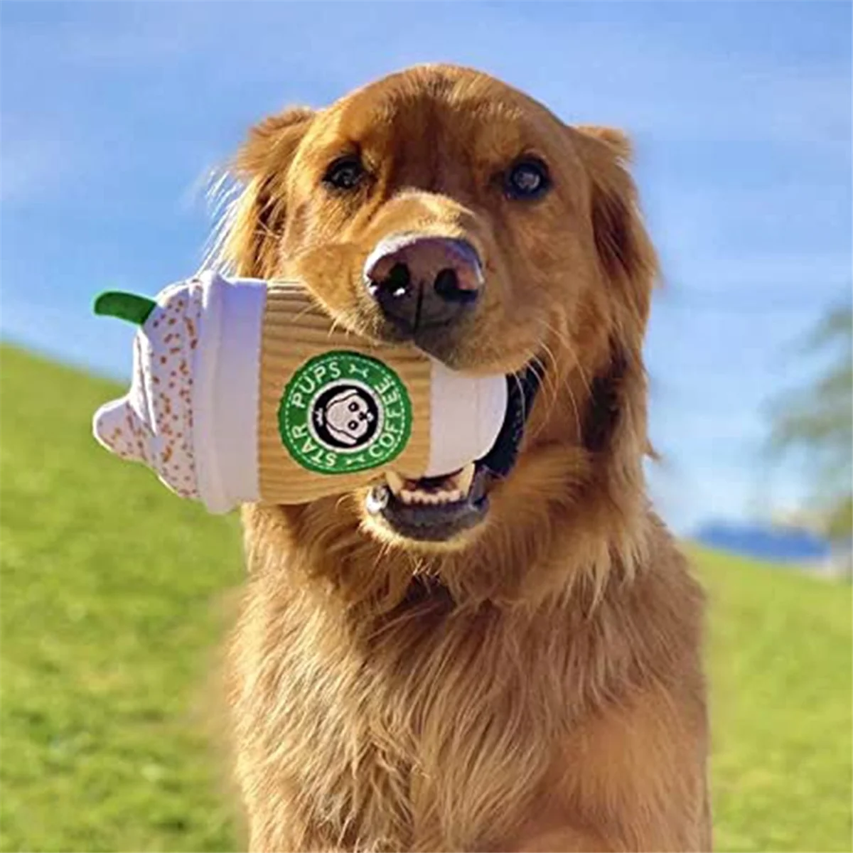 

BTCL Parody Star Pups Coffee Dog Toy Pup' Spice Latte - Fall Funny Parody Plush Squeaky Holiday Toys для среднего размера