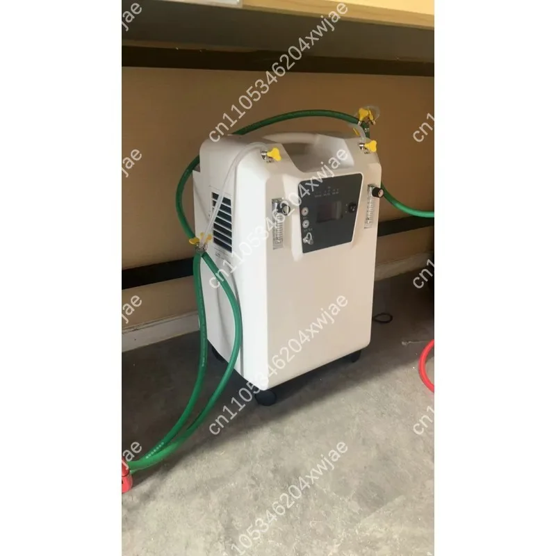 5L 10L Silent Oxygen Generator Low Noise Oxygen Machine Glass Blowing Combustion Support Equipment For Glass Craft Workshop