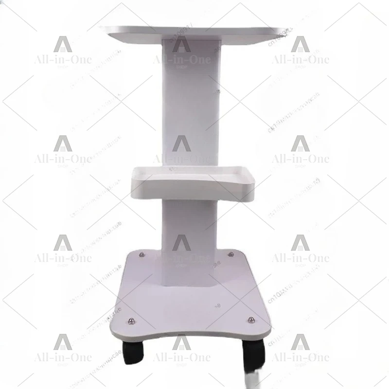 Cart for Salon Use, Sturdy Metal Frame with Wooden Panels, Easy to Move with Smooth Rolling Wheels