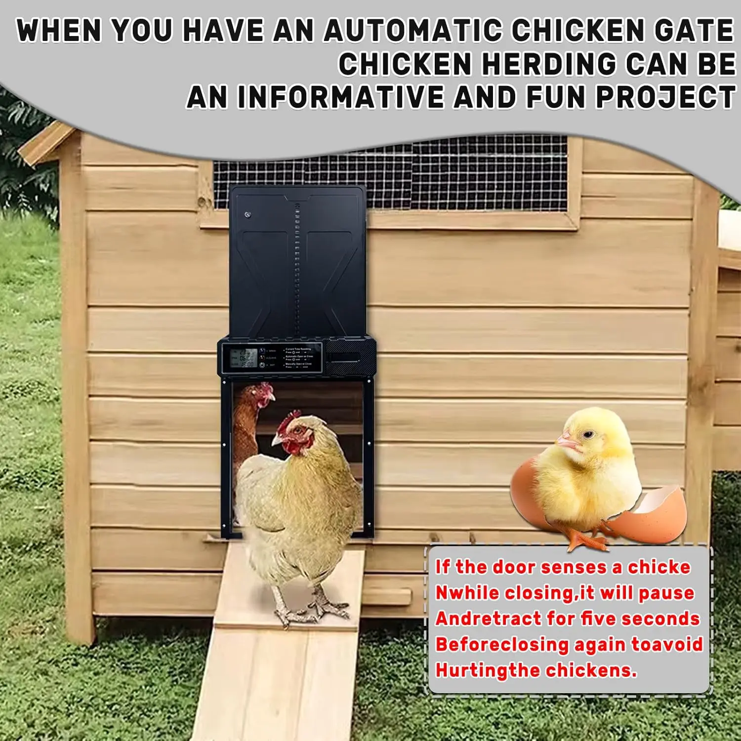 Automatic chicken coop door, large-sized LCD screen with timer, powered by 3 * AA batteries (battery not included)