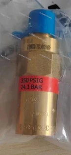 

Safety Valve Liquid Nitrogen Low Temperature Dewar Bottle LNG Cylinder Relief Valve PRV9434 Series